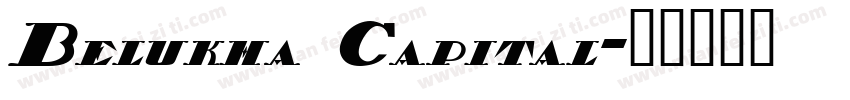 Belukha Capital字体转换